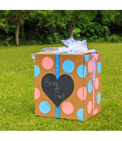 Baby Gender Reveal Party ​