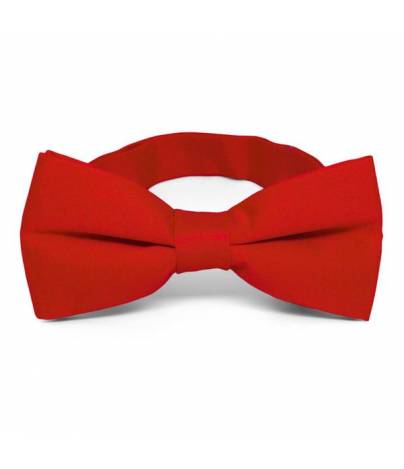 (RENTAL)Bowtie Set